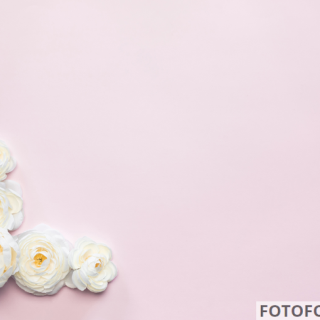 Фотофон квітковий рожевий фон