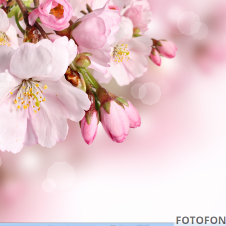 Фотофон рожевий весняний фон