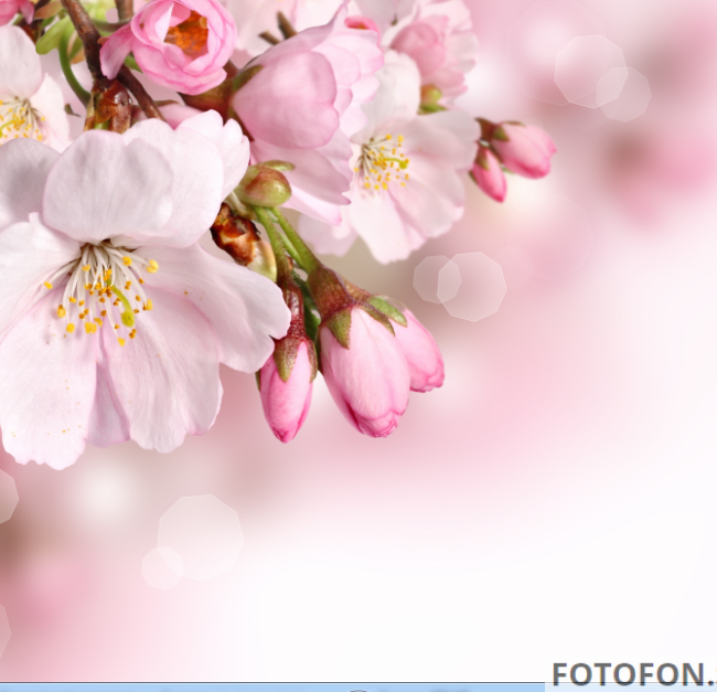 Фотофон рожевий весняний фон