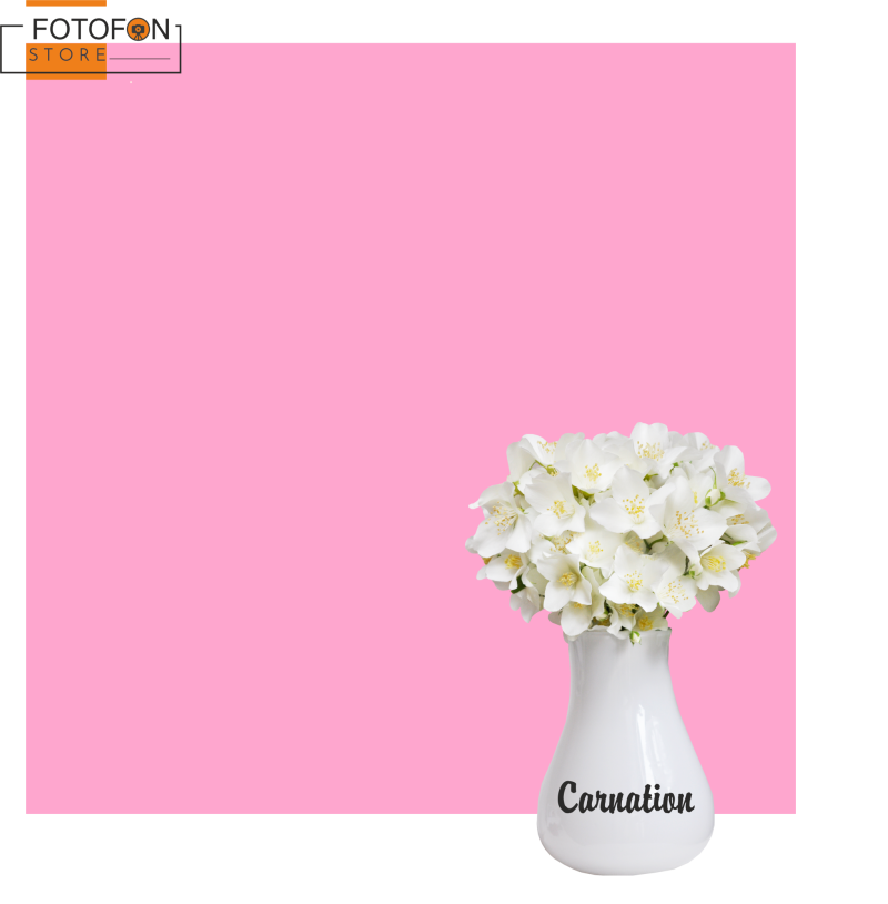 Однотонний вініловий рожевий фотофон Carnation