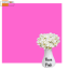 Однотонний фотофон рожевий Rose Pink