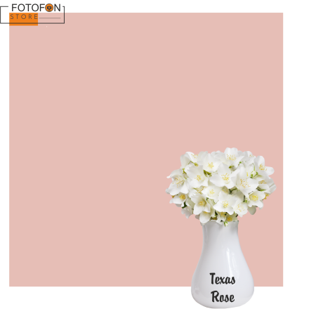 Однотонний фон Бежевий, вініловий студійний фон для фото Texas Rose