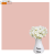 Однотонний фон Бежевий, вініловий студійний фон для фото Texas Rose