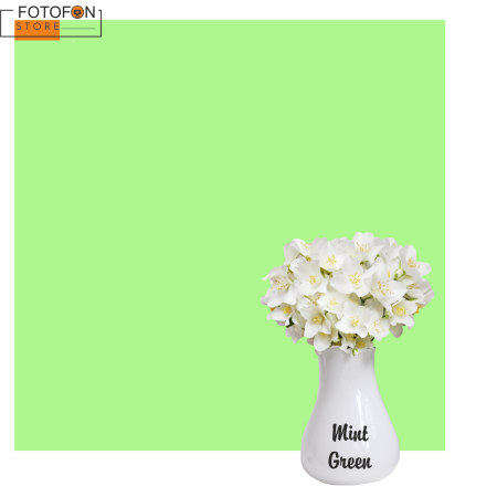 Однотонний вініловий фотофон М'ятно-Зелений Mint Green