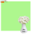 Однотонний вініловий фотофон М'ятно-Зелений Mint Green
