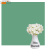 Однотонний вініловий фотофон Блискучий Трилисник Shiny Shamrock