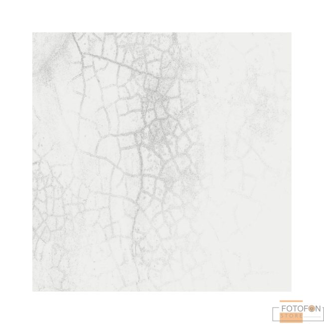 Вініловий фон для студійної фотозйомки Old Wall