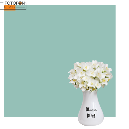 Однотонний вініловий фотофон Magic Mint