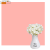 Однотонний фон Персиковий Deco Peach