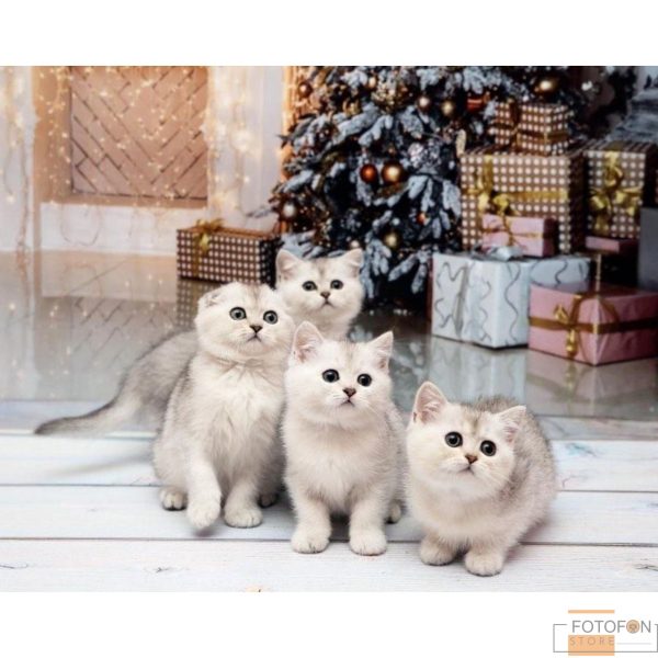 Вініловий фотофон стіна підлога Snowy Cottage Delight - Image 2