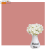 Однотонний фон Чайна троянда, вініловий студійний фон для фото Almond Rose