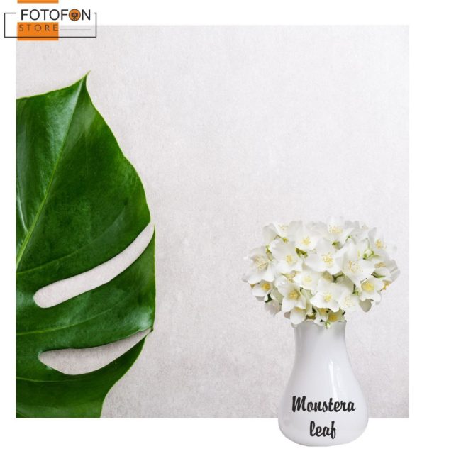 Вініловий фотофон для студійної фотозйомки Monstera green leaf