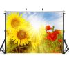 Вініловий фон для фотозйомки Маки та соняшники на сонці