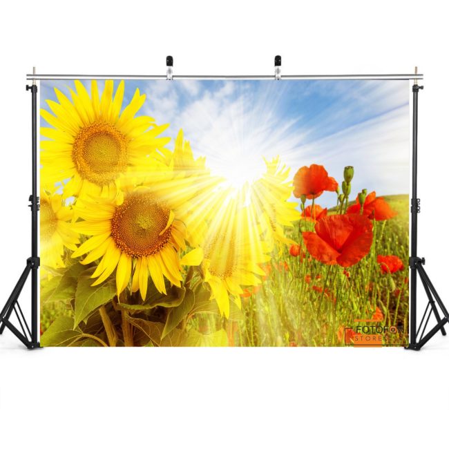 Вініловий фон для фотозйомки Маки та соняшники на сонці