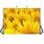 Вініловий фон для фотозйомки Sunflower
