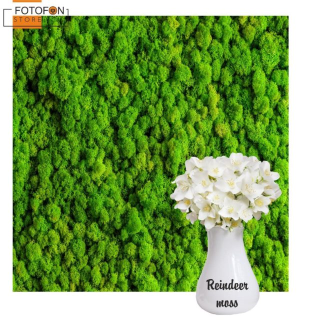Вініловий фотофон для студійної фотозйомки Reindeer moss