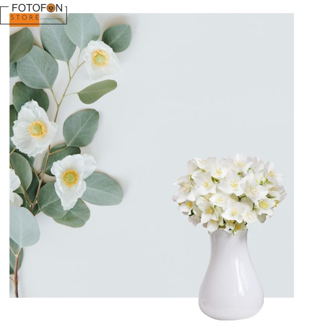 Вініловий фотофон для студійної фотозйомки Eucalyptus leaves