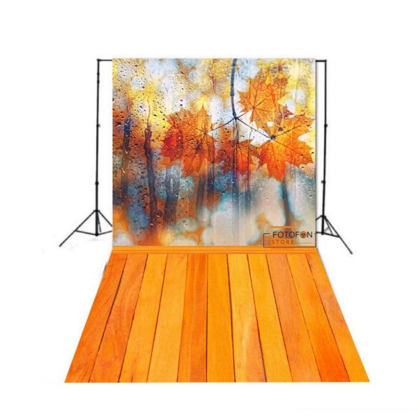 Вініловий фотофон Стіна Підлога "Autumn Leaves for Rainy Glass"