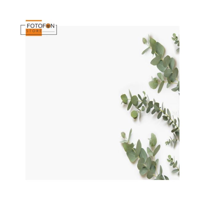 Фотофон, фон для фото вініловий студійний Eucalyptus white