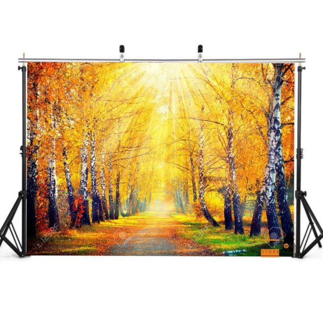 Фотофон, фон для фото вініловий студійний "Autumn Forest with Birches"