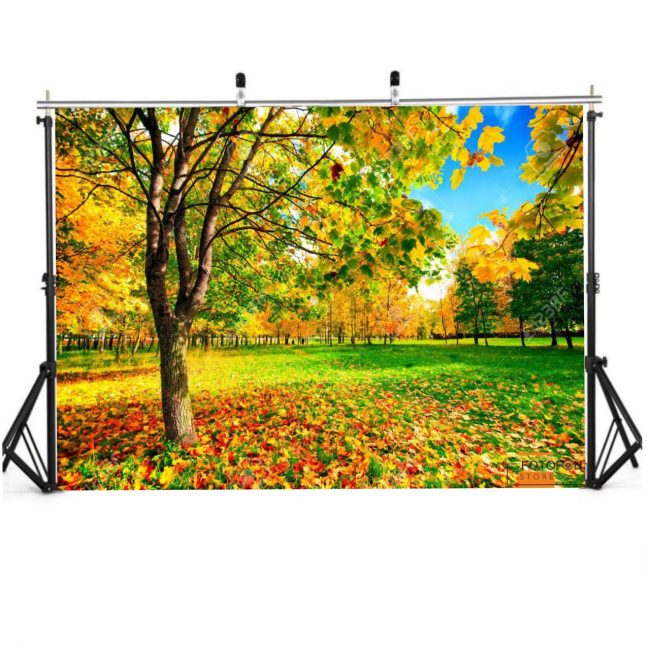 Фотофон, фон для фото вініловий студійний "Autumn Landscape"