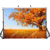 Фотофон, фон для фото вініловий студійний "Big Autumn Tree"