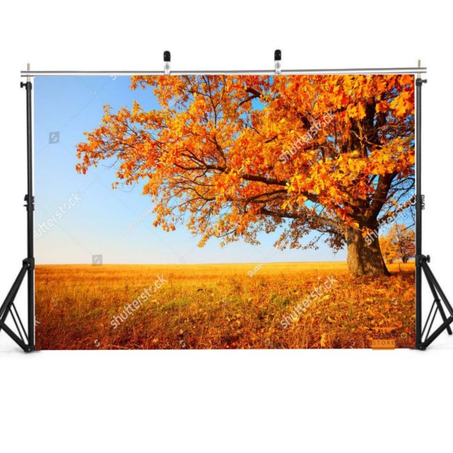 Фотофон, фон для фото вініловий студійний "Big Autumn Tree"
