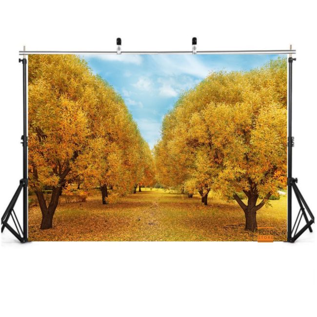 Фотофон, фон для фото вініловий студійний "Autumn Yellow Forest"