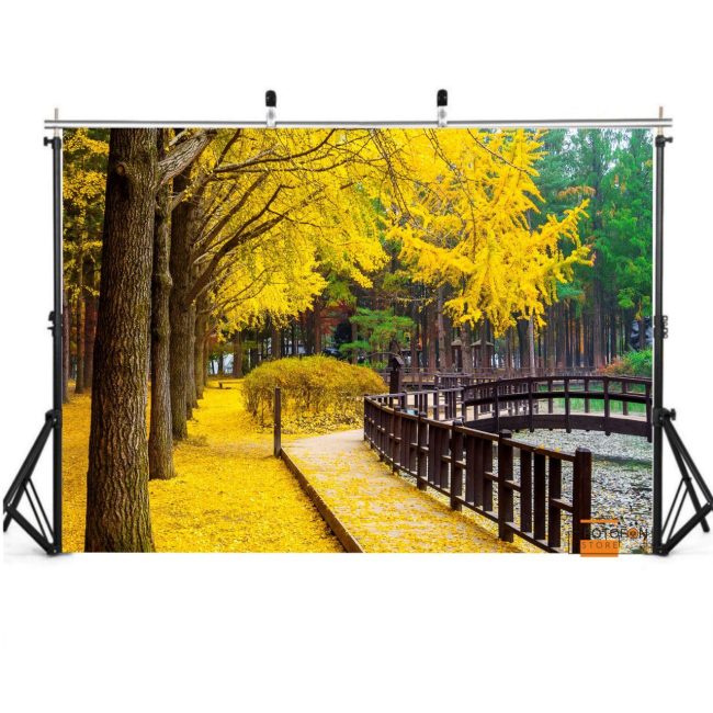 Фотофон, фон для фото вініловий студійний "Autumn Park"