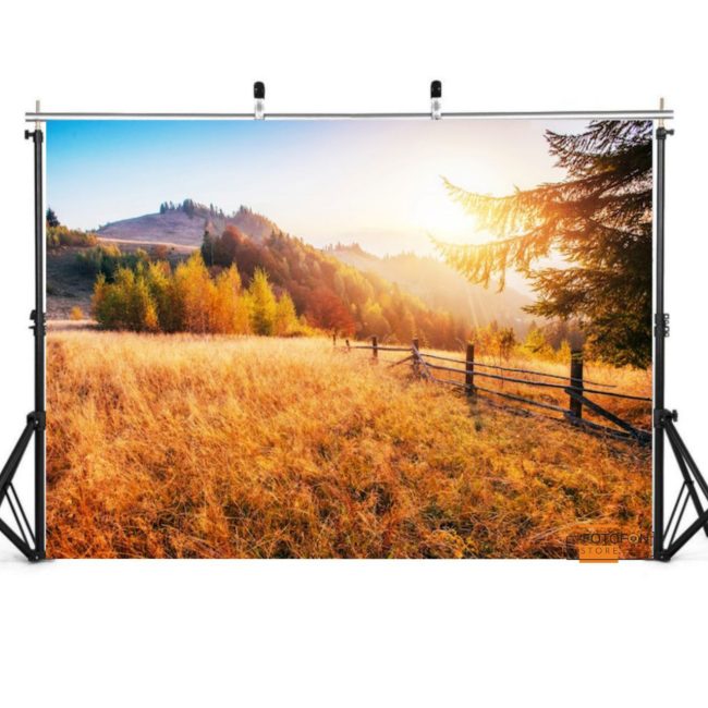 Фотофон, фон для фото вініловий студійний "Autumn Forest Sunny"