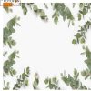 Фотофон, фон для фото вініловий студійний Eucalyptus white 1.0