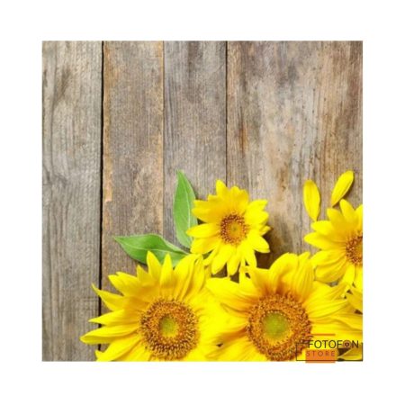 Фотофон, фон для фото Sunflowers
