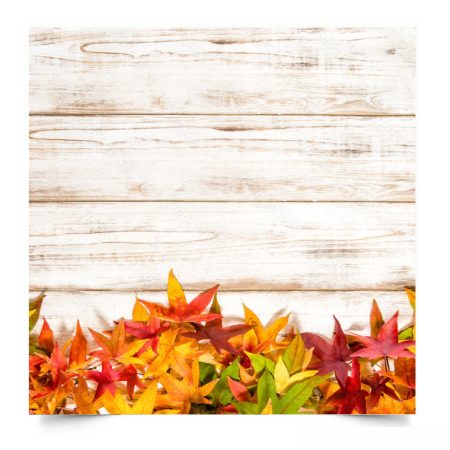 Вініловий студійний фотофон Autumn leaves background
