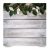 Вініловий студійний фотофон Green leaves on rustic wood