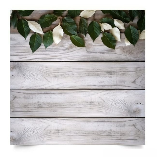 Вініловий студійний фотофон Green leaves on rustic wood