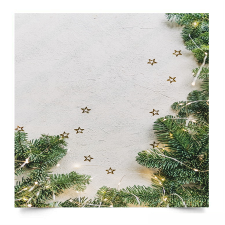 Вініловий фотофон Decor with christmas tree