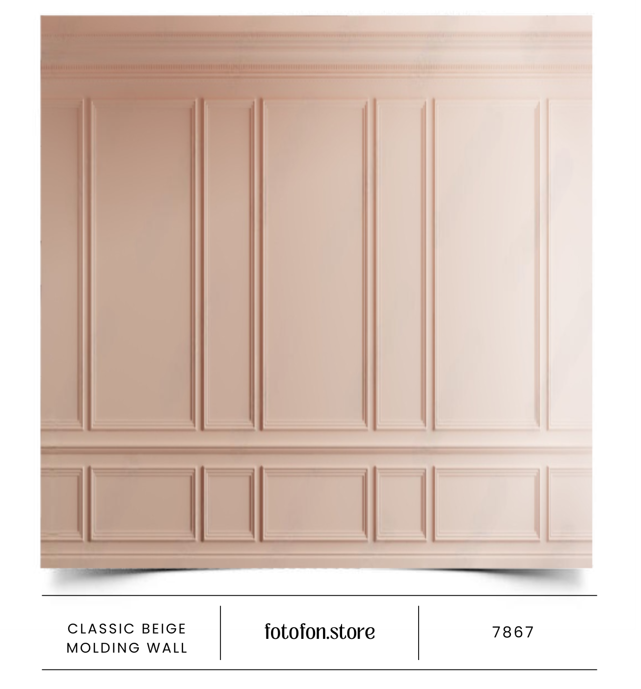 Вініловий студійний фотофон Classic beige molding wall