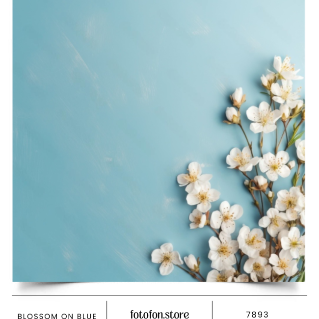 Вініловий фотофон Blossom on blue