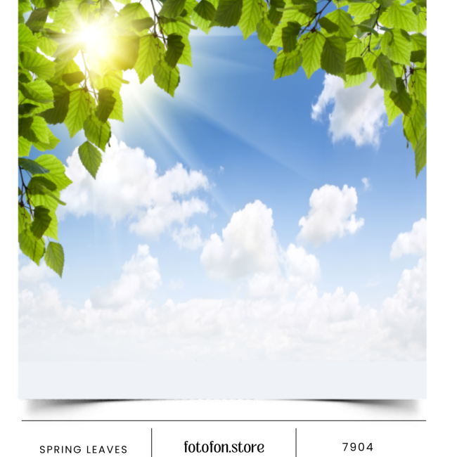 Вініловий фотофон Spring leaves