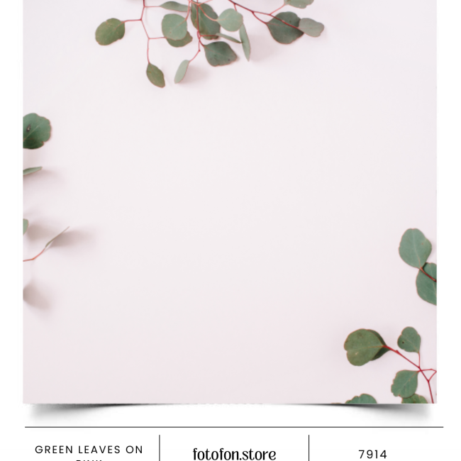Вініловий фотофон Green leaves on pink