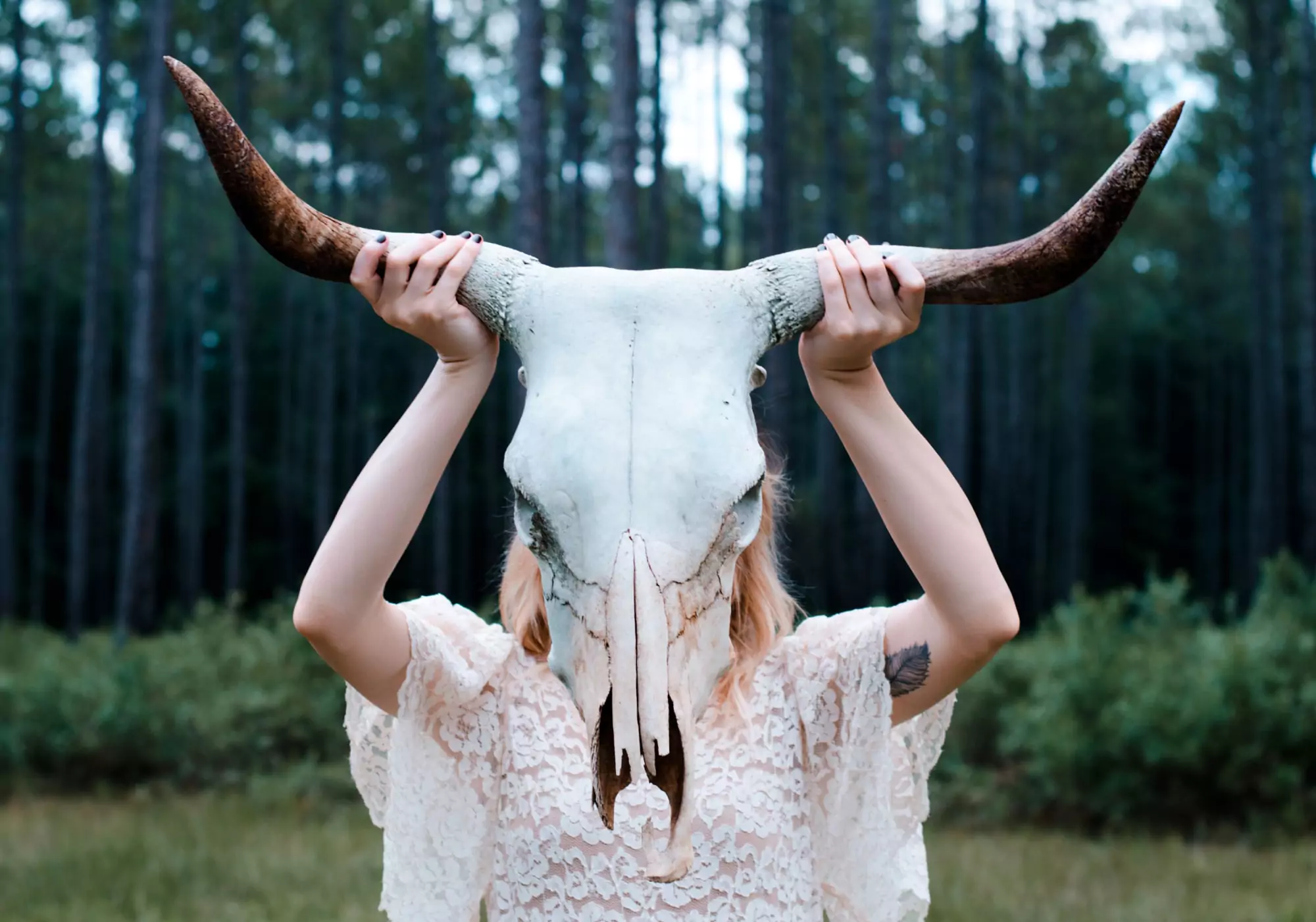 Creatures that charm individuals with their insights Fotofon.store (073) 112-21-28 1