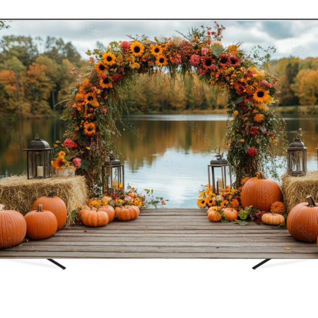 Вініловий фотофон "Осінь біля озера"