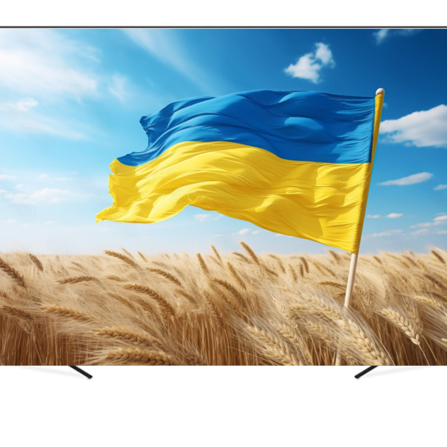 Вініловий фотофон «Український прапор в пшеничному полі»