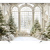 Вініловий фотофон "Зимовий сад з розкішним вікном"