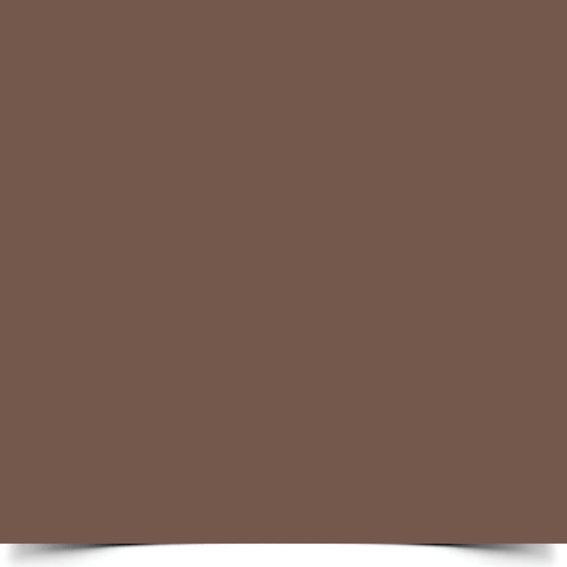 Однотонний вініловий фотофон Espresso - коричневий фон для фото 1 Однотонний вініловий фотофон Espresso - коричневий фон для фото