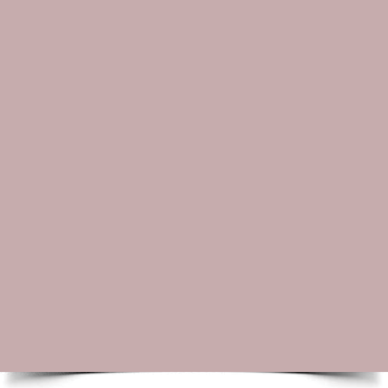 Однотонний фон Туманно-рожевий, фон для фото вініловий студійний Pinkish grey 1 Однотонний фон Туманно-рожевий, фон для фото вініловий студійний Pinkish grey