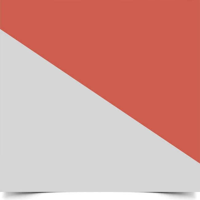 Однотонний вініловий фотофон Double Orange-Grey