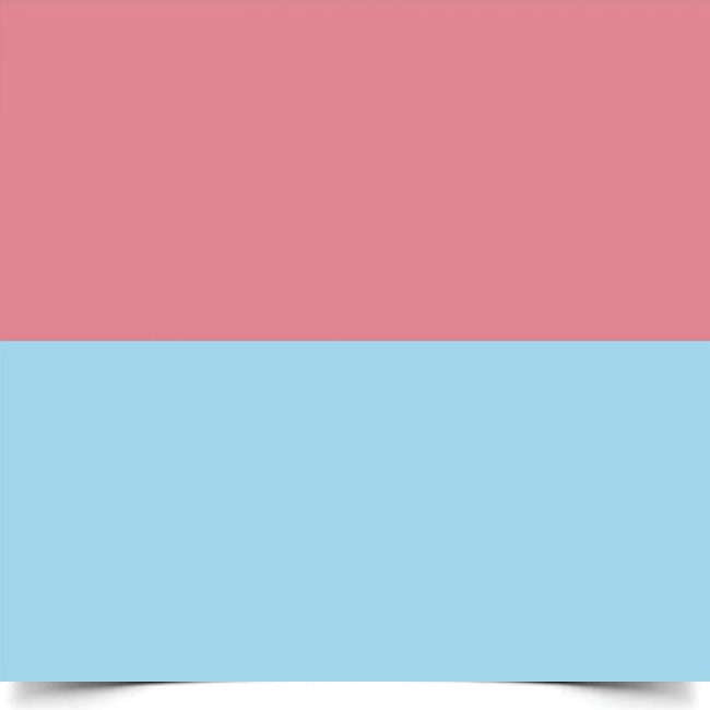 Однотонний вініловий фотофон Double Pink–Blue