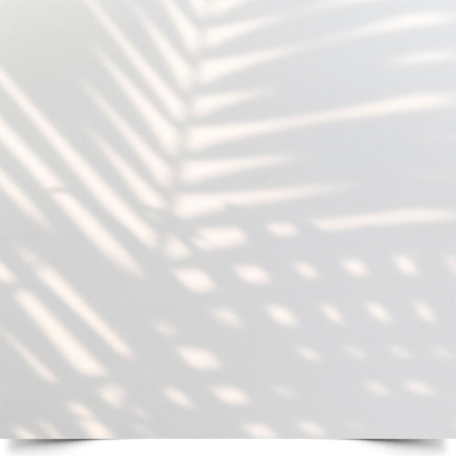 Вініловий фон для фотозйомки «Тропічні тіні» (біла стіна з тінями пальми)