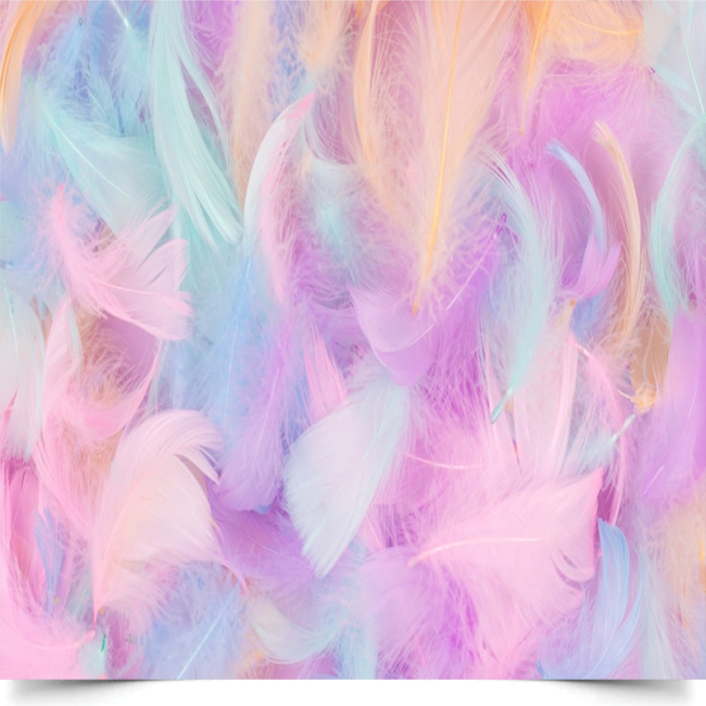 Вініловий фон для фотозйомки «Colorful Feather» (кольорове пір’я)